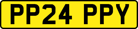 PP24PPY