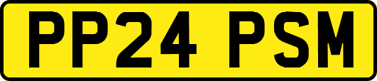 PP24PSM