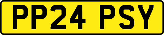 PP24PSY