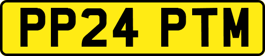 PP24PTM
