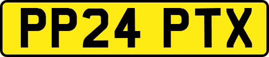 PP24PTX