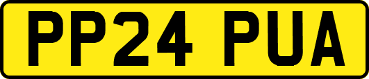 PP24PUA