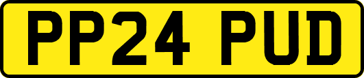 PP24PUD