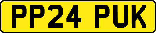 PP24PUK