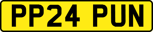 PP24PUN