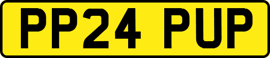PP24PUP