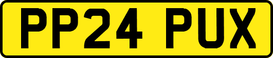 PP24PUX