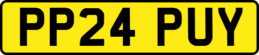 PP24PUY