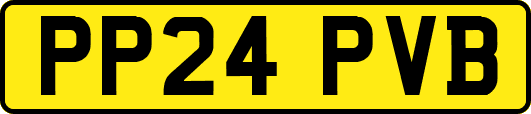 PP24PVB