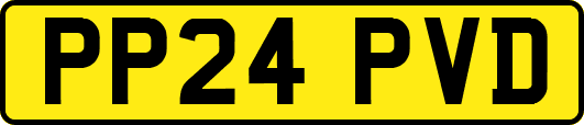 PP24PVD