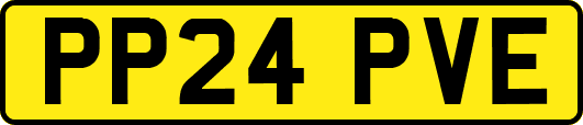 PP24PVE