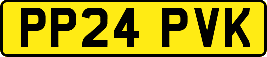 PP24PVK