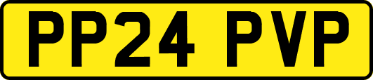 PP24PVP