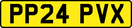 PP24PVX