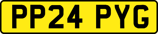 PP24PYG