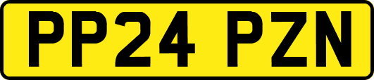 PP24PZN