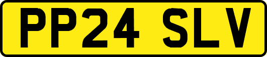PP24SLV