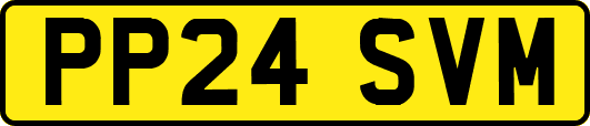 PP24SVM
