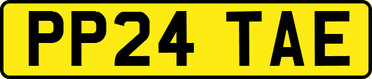 PP24TAE