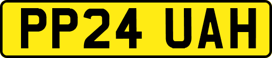 PP24UAH