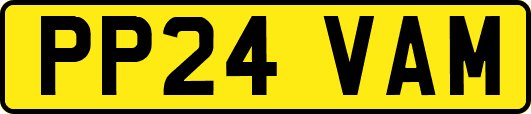 PP24VAM