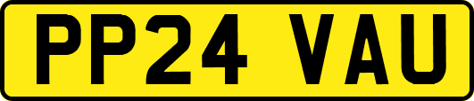 PP24VAU