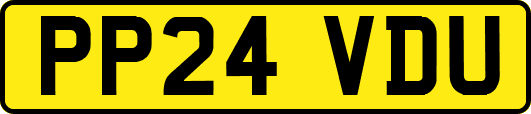 PP24VDU