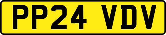 PP24VDV