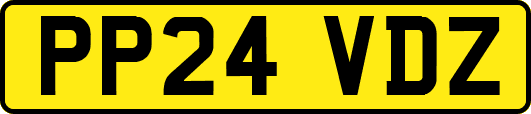 PP24VDZ