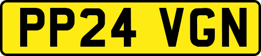 PP24VGN