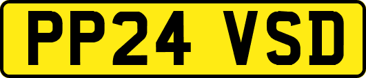 PP24VSD