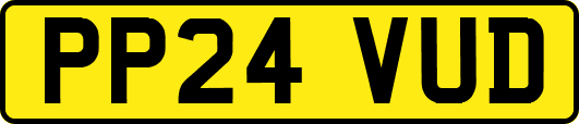 PP24VUD