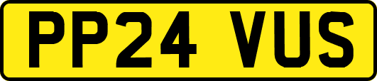 PP24VUS