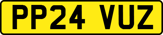 PP24VUZ