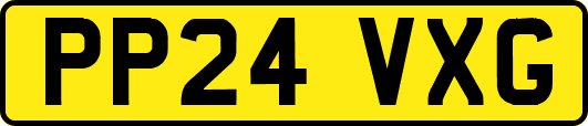 PP24VXG