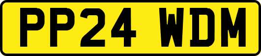 PP24WDM