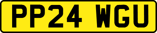 PP24WGU