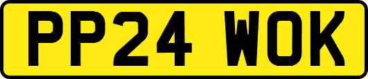 PP24WOK