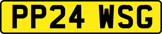 PP24WSG