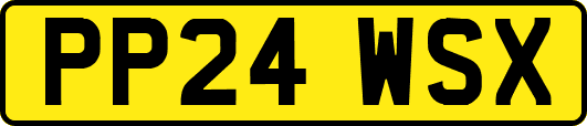 PP24WSX