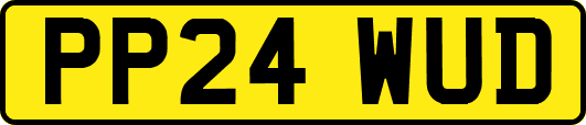 PP24WUD