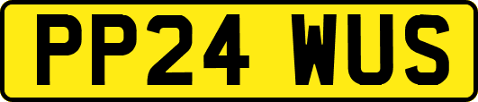 PP24WUS