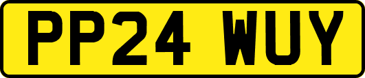 PP24WUY