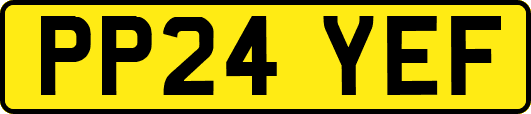 PP24YEF