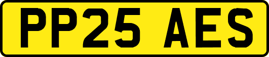 PP25AES