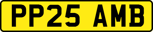 PP25AMB
