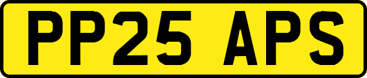 PP25APS