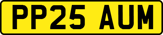 PP25AUM