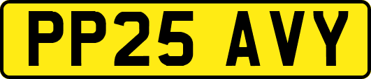 PP25AVY