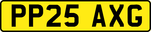 PP25AXG